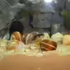 Userbild von Franz König