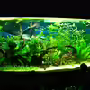 Userbild von gooral28