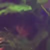 Userbild von Jens J.