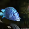 Userbild von Jonny84