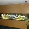Userbild von Kai Wichert