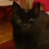 Userbild von Katzenmutti