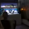 Userbild von LukW124