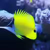 Userbild von Marco Vasev