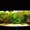 Userbild von Mark1234