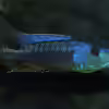 Userbild von Matze0815