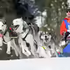 Userbild von Michel