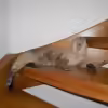 Userbild von nemo0109