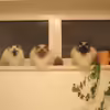 Userbild von Olaf H.
