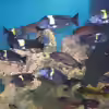 Userbild von Oliver Schulte