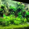 Userbild von Olli Nano