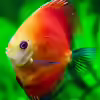 Userbild von Phil Cave
