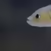 Userbild von PhilGabriel