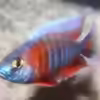 Userbild von Pütti