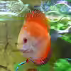 Userbild von Ralf Hoffmann
