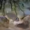 Userbild von Raphi