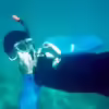 Userbild von reefaddict