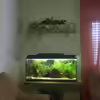 Userbild von sambista