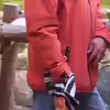 Userbild von Schratze
