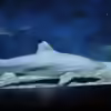 Userbild von Sebastian Hattel