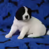 Userbild von Shaggy90