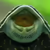 Userbild von Stefan Hoffmann