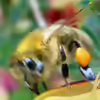 Userbild von Summse