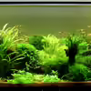 Userbild von Thainrinn