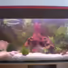 Userbild von Thomas Weißleder
