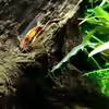 Userbild von Tobi-G