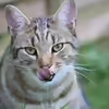 Userbild von tolschy