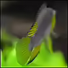 Userbild von Tuduhi