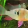 Userbild von z0oL