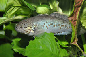 Interview Hubert Selig Foto10