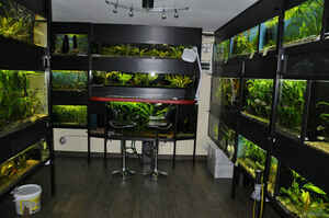 Interview Hubert Selig Foto11