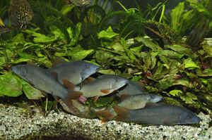 Interview Hubert Selig Foto12