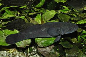 Interview Hubert Selig Foto3