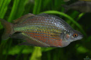 Interview Hubert Selig Foto4