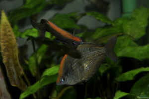 Interview Hubert Selig Foto6