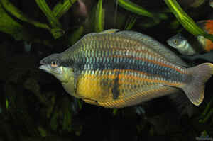 Interview Hubert Selig Foto7