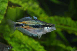 Interview Hubert Selig Foto8