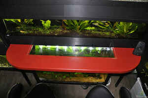 Interview Hubert Selig Foto9