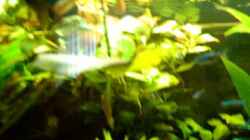 Video Mein Becken von Fohlenpower (-1ii2Rz1_uc)