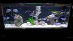 Video Aktuell von Malawi-Guard (2tb0K79YV0k)