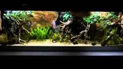 Video Südamerika Aquarium Juli 2014 von ~Marco~ (3bqb68_LgQQ)