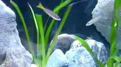 Video meine Tangas von Chris_R. (3cJYEB0Xrn0)