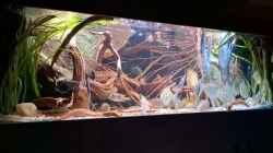 Video Amazon tank von Agua viva (4kvhOKtmMiA)