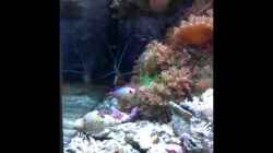 Video Sera Marin 130 von Georg1983 (5PldPgpSbpI)