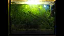 Video Sonnenuntergang von chrisi01 (6p8-IllMA34)