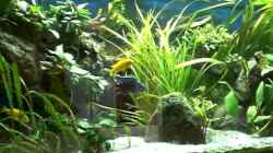 Video Ostafrikanisches Becken von Robin (78Kh2EBx-Xs)